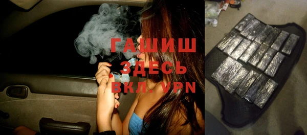 индика Алзамай