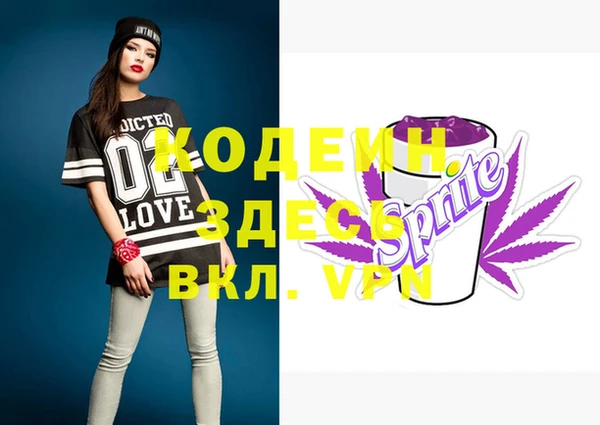 индика Алзамай
