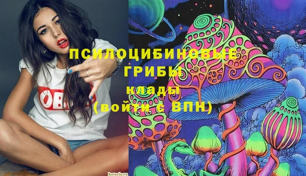 мет Алексин
