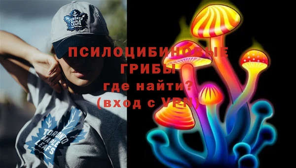 индика Алзамай
