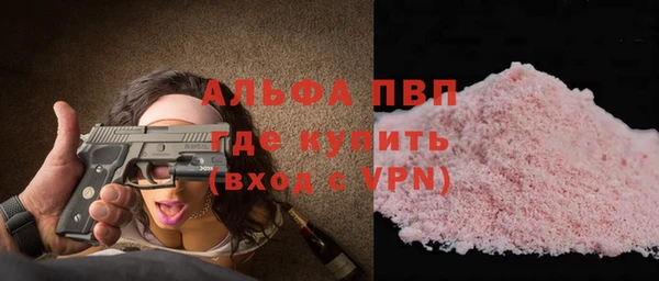 мет Алексин