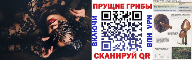 где купить наркоту  Мостовской  Псилоцибиновые грибы Magic Shrooms 